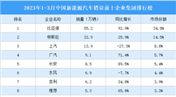 2023年1-3月中國新能源汽車銷量前十企業集團排行榜（附榜單）