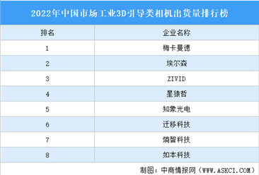 2022年中国市场工业3D引导类相机出货量排行榜（附榜单）