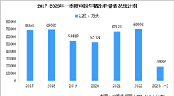 2023年一季度中国生猪行业运行情况：出栏小幅增长，存栏环比下降（图）