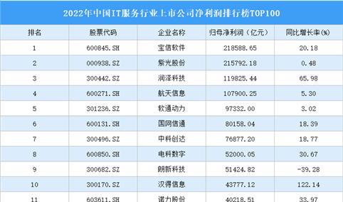 2022年中国IT服务行业上市公司净利润排行榜TOP100