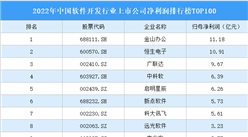 2022年中国软件开发行业上市公司净利润排行榜TOP100（附榜单）