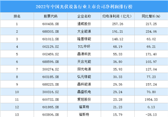 2022年中国光伏设备行业上市公司净利润排行榜（附全榜单）