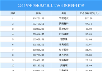 2022年中国电池行业上市公司净利润排行榜（附榜单）