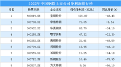 2022年中國鋼鐵行業上市公司凈利潤排行榜（附全榜單）