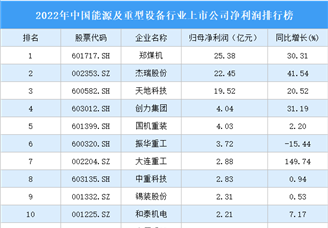 2022年中国能源及重型设备行业上市公司净利润排行榜（附全榜单）