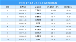 2022年中国电池行业上市公司净利润排行榜（附榜单）