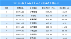 2022年中国电池行业上市公司营业收入排行榜（附全榜单）