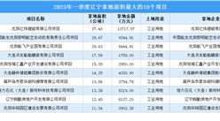 2023年一季度辽宁工业土地投资规模最大的十个项目，涉地面积近195公顷