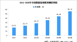 2023年全球及中国数据规模情况预测分析（图）