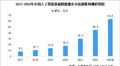 2023年中國人工智能基礎數據服務市場規模及行業發展趨勢預測分析（圖）
