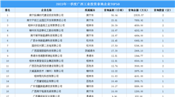 投资盘点 | 2023年一季度广西工业投资拿地企业TOP50名单汇总