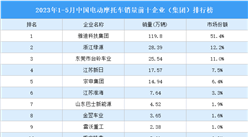 2023年1-5月中国电动摩托车销量前十企业（集团）排行榜（附榜单）