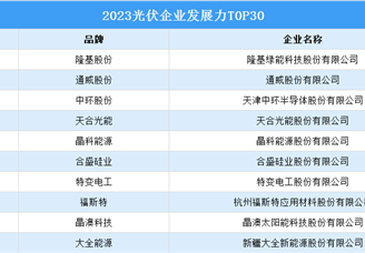 2023光伏企业发展力T0P30排行榜（附榜单）