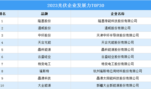 2023光伏企业发展力T0P30排行榜（附榜单）
