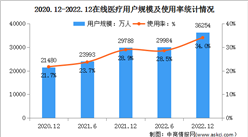 2023年我國在線醫(yī)療用戶規(guī)模及使用服務(wù)類型分析（圖）