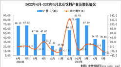 2023年5月北京饮料产量数据统计分析