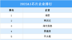 2023AI芯片企业排行榜（附榜单）