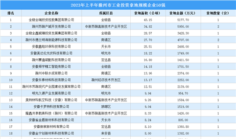 投资企业盘点 | 2023年上半年滁州工业投资规模企业TOP50榜单抢先看