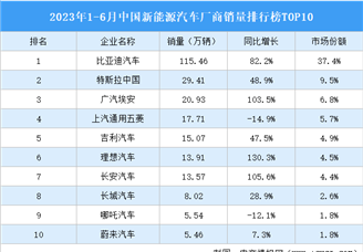 2023年1-6月中国新能源汽车厂商销量排行榜TOP10（附榜单）