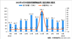 2023年6月中國食用植物油進口數據統計分析：累計進口量同比增長超一倍