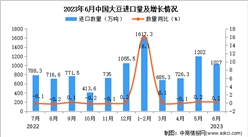 2023年6月中国大豆进口数据统计分析：进口量同比增长0.2%