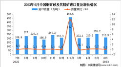 2023年6月中國銅礦砂及其精礦進口數據統計分析：累計進口額小幅增長