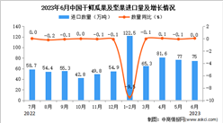 2023年6月中國干鮮瓜果及堅果進口數據統計分析：進口量與去年增長持平