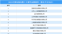 2023中国电线电缆十大领军品牌榜单（附榜单）