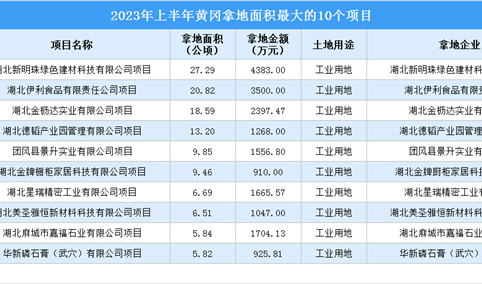 2023年上半年黄冈工业土地投资规模最大的十个项目汇总（图）