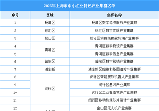 2023年上海市中小企业特色产业集群：闵行区最多（附完整名单）