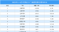 2023年1-6月中国皮卡厂商销量排行榜TOP10（附榜单）