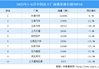 2023年1-6月中国皮卡厂商销量排行榜TOP10（附榜单）