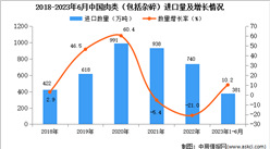 2023年1-6月中国肉类进口数据统计分析：进口额小幅增长