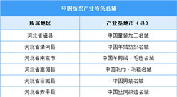 2022年中国纺织产业特色名城（附榜单）