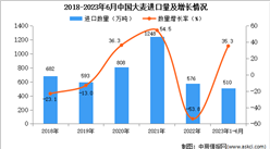 2023年1-6月中國大麥進口數據統計分析：進口額同比增長一半
