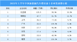2023年上半年中國新能源汽車銷量前十企業集團排行榜（附榜單）