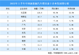 2023年上半年中国新能源汽车销量前十企业集团排行榜（附榜单）