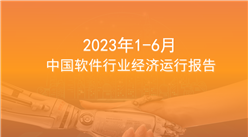 2023年6月中国软件行业经济运行报告（附全文）