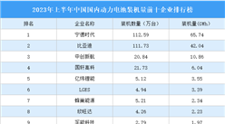 2023年上半年中國國內動力電池裝機量前十企業排行榜（附榜單）