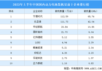 2023年上半年中国国内动力电池装机量前十企业排行榜（附榜单）