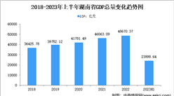 2023年上半年湖南省经济运行情况分析：GDP同比增长3.6%（图）