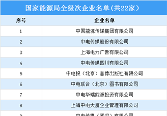 2023国家能源局全级次企业名单公布：共22家（图）