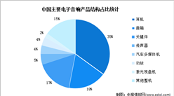 2023年中国电子音响行业市场规模及产品结构预测分析（图）