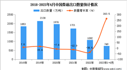 2023年1-6月中國柴油出口數據統計分析：出口額同比增長超兩倍