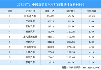 2023年6月中国新能源汽车厂商销量排行榜TOP10（附榜单）