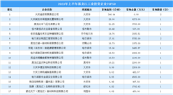 【工业投资盘点】2023年上半年黑龙江工业投资TOP50企业涉地面积超670公顷