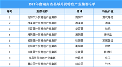 2023年度湖南县域外贸特色产业集群名单：浏阳的烟花等15个产业集群上榜