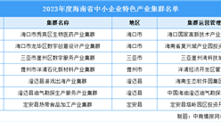 2023年度海南省中小企業特色產業集群名單：涉及生物醫藥、數字創意設計等產業