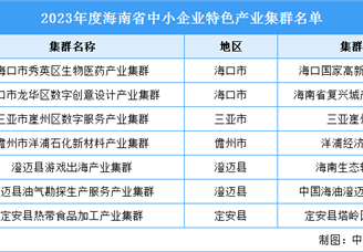 2023年度海南省中小企业特色产业集群名单：涉及生物医药、数字创意设计等产业