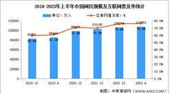 2023年上半年中国互联网网民结构状况分析：网民规模达10.79亿（图）